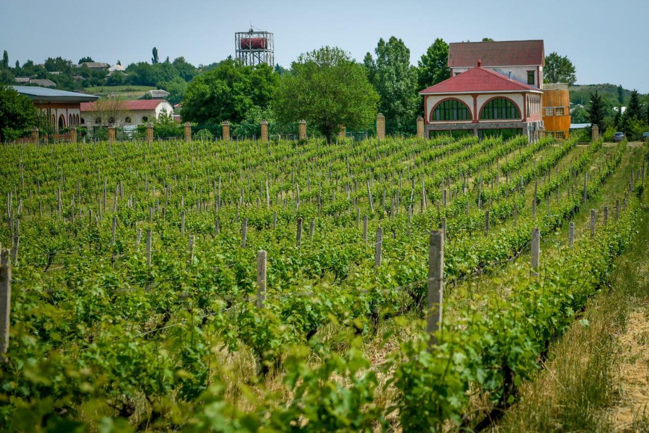 Chabiant Guesthouse Chateau Monolit Ikinci Yeniyol Kültér fotó